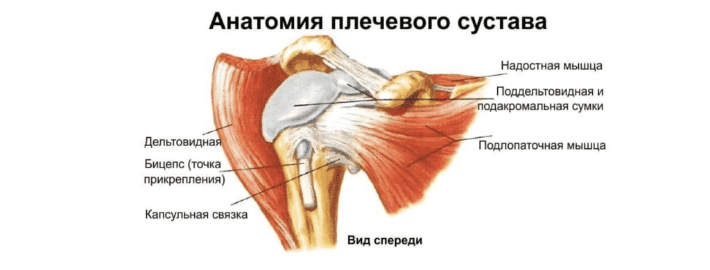 Лечение боли в плече в Кременчуге